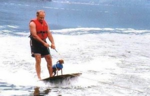 Dog Water Skiing