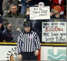 Referee in Minor League Hockey
