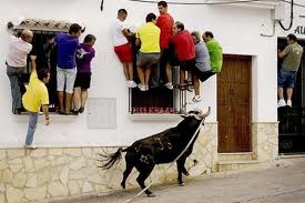 Running With The Bulls Funny Sports Picture