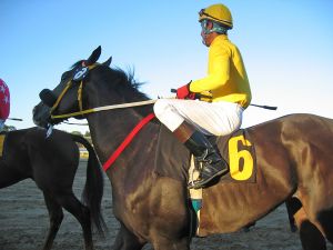 Horse Racing
