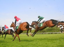 Horse Racing