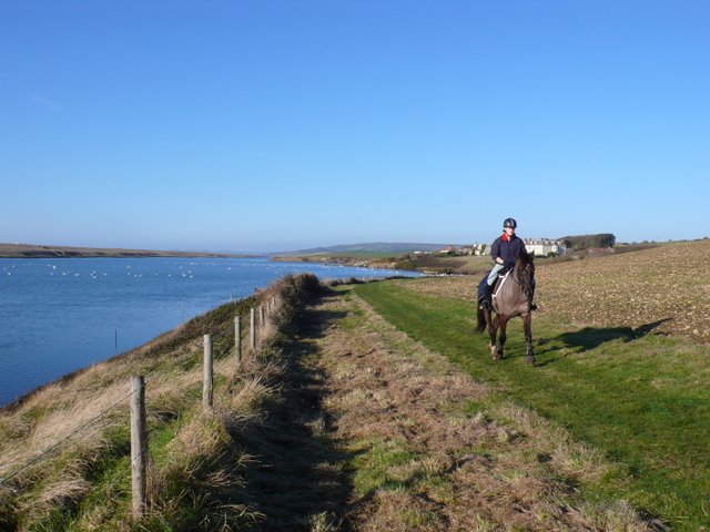 Horse Riding by the Water
