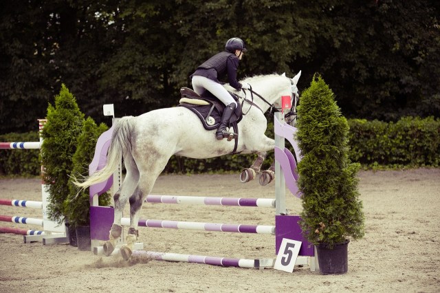 show jumping