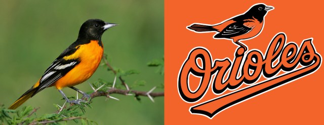 orioles