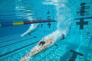 underwater photographs by Stephen Frink as courtesy for TouchTheWall.com, shot at Founder's Park swimming pool, Islamorada, Florida Keys.