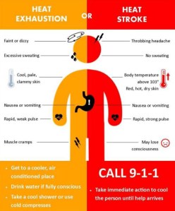 Heat_Emergencies_Graphic1