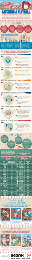 Fly Balls Infographic