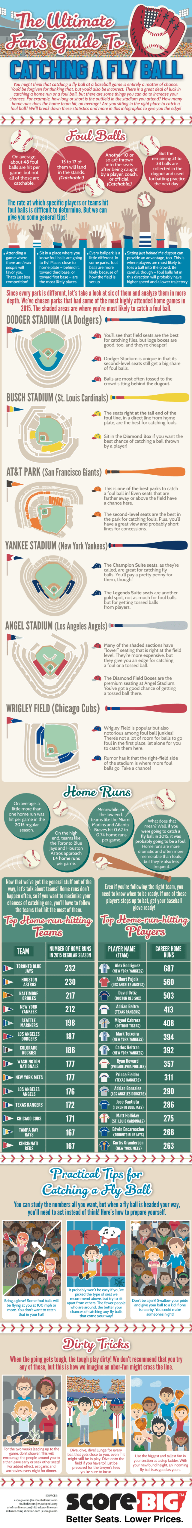 Fly Balls Infographic
